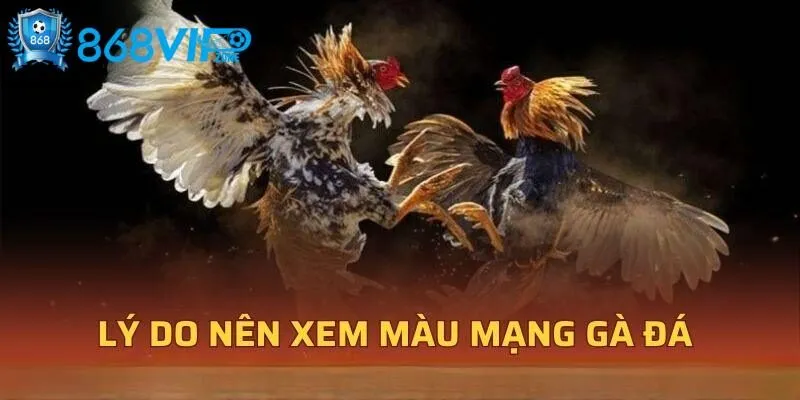 Những lý do nên lựa chọn xem màu mạng gà theo ngũ hành